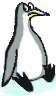 Tiki the Penguin looking worried