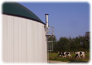 A working biodigester on a farm in Germany. Image: Wikipedia