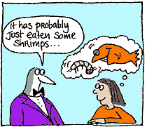 It ate some shrimps