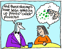 Gobbling plankton