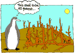 Dead forests