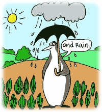 Now some rain
