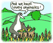 Lovely vegetables!