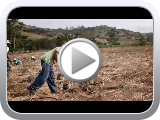 Climate Change 2014: Impacts, Adaptation, and Vulnerability