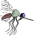 mosquitoes carry horrible parasites  like malaria and dengue fever