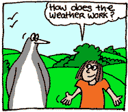 How does the weather work?