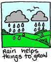 ...rain makes things grow