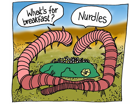 Nurdles are a type of microplastic
