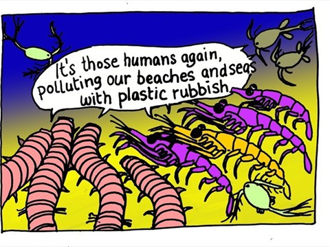 Bigger sea creatures eat the smaller ones