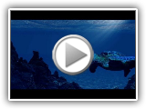 The Great Pacific Garbage Patch