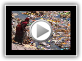 YOUR waste YOUR ocean