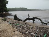 Déchets plastiques, Coco Beach, India. Photo: Hajj0 ms via Wikipedia