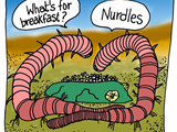 Plastic poisons or chokes any creature that tries to eat it